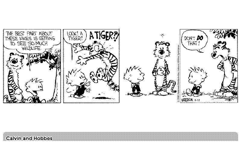 Calvin and Hobbes Comics screenshot